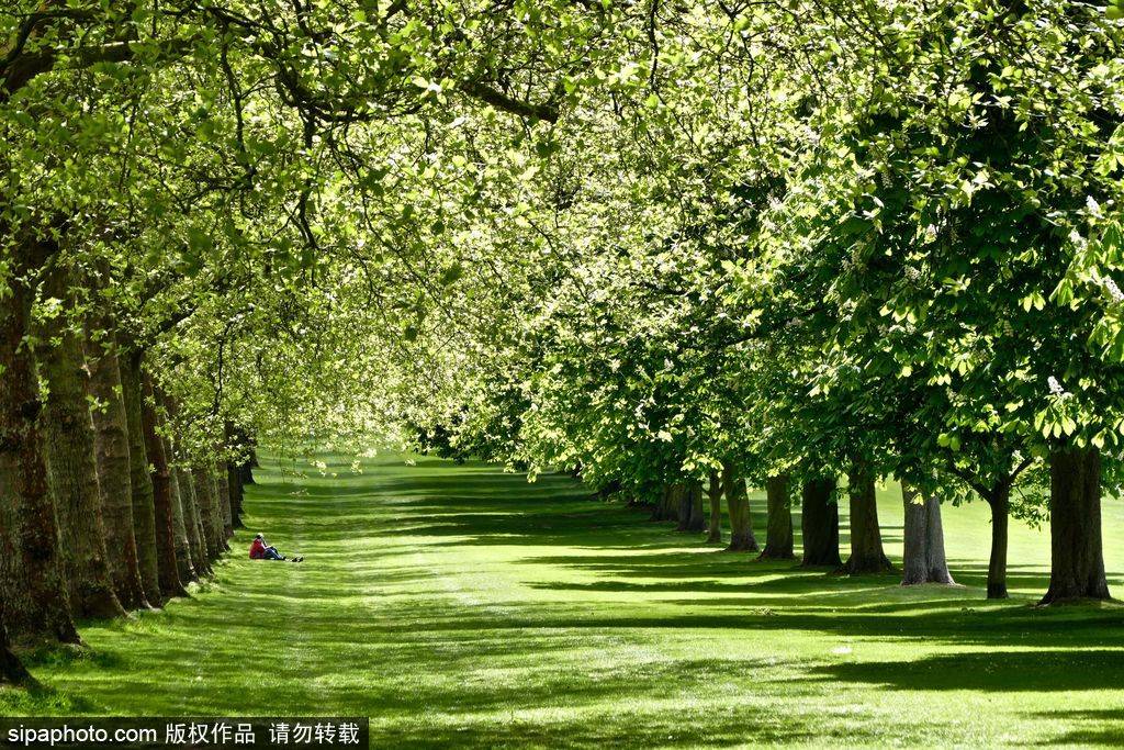 走進如畫英倫莊園 感受午后明媚春光