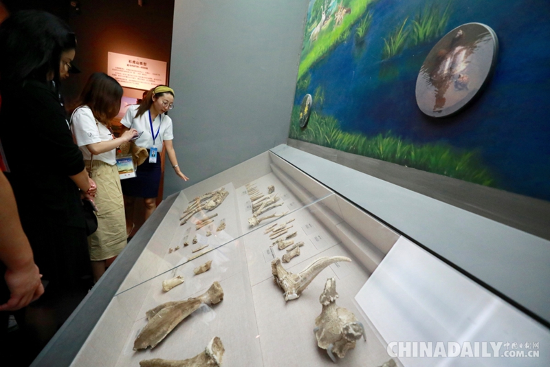 “重走古絲路 奏響大合唱”代表團一行參觀烏蘭察布博物館